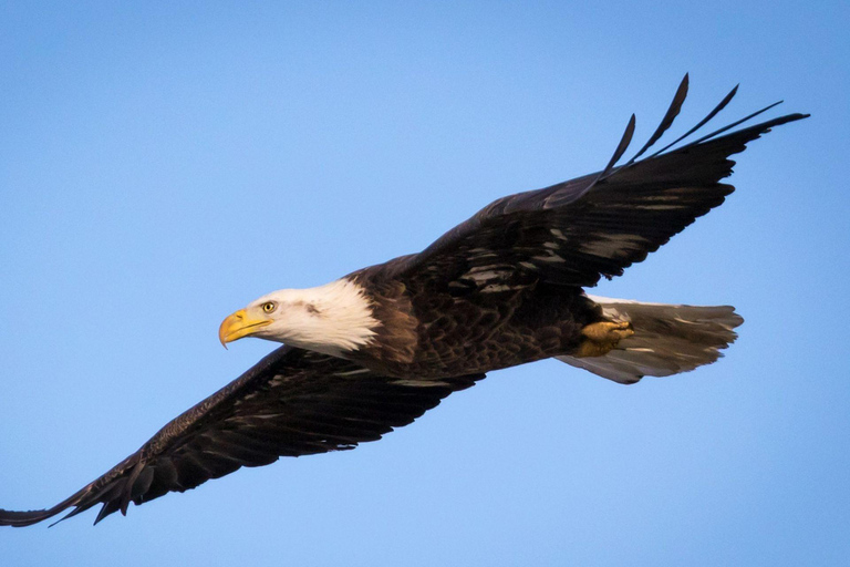 Phuket: James Bond Island Sea Canoeing by Speedboat+ 2 Meals