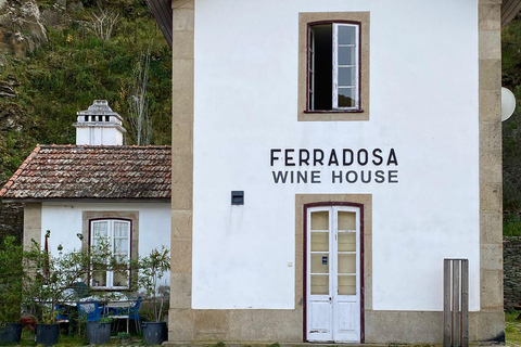 Porto to Douro Valley Private tour in a 4x4 like a native Privat tour Offroad Douro Valley