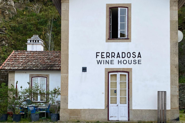 Porto to Douro Valley Private tour in a 4x4 like a native Privat tour Offroad Douro Valley