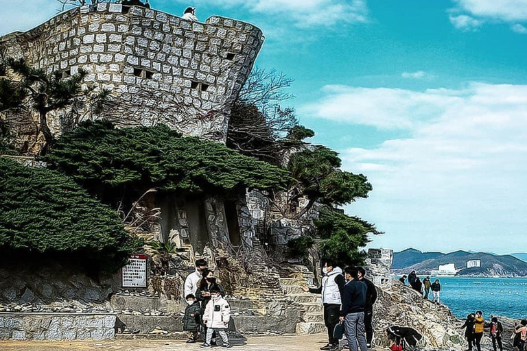 Z Pusan: Geoje Mudflat Experience i koreańskie jedzenie dla smakoszy