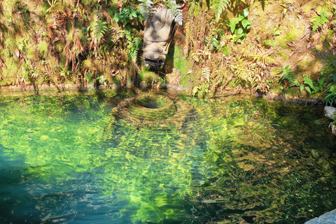 Hangzhou: Private Car Tour to Temple, Tea Village & Canal
