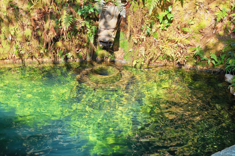 Hangzhou: Private Car Tour to Temple, Tea Village & Canal