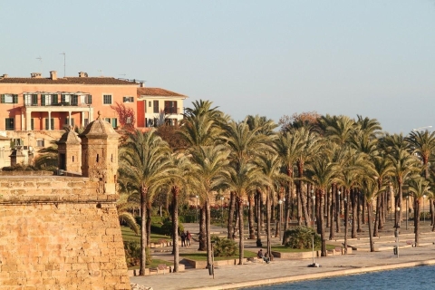 Palma de Mallorca Tour a pie guiado privado
