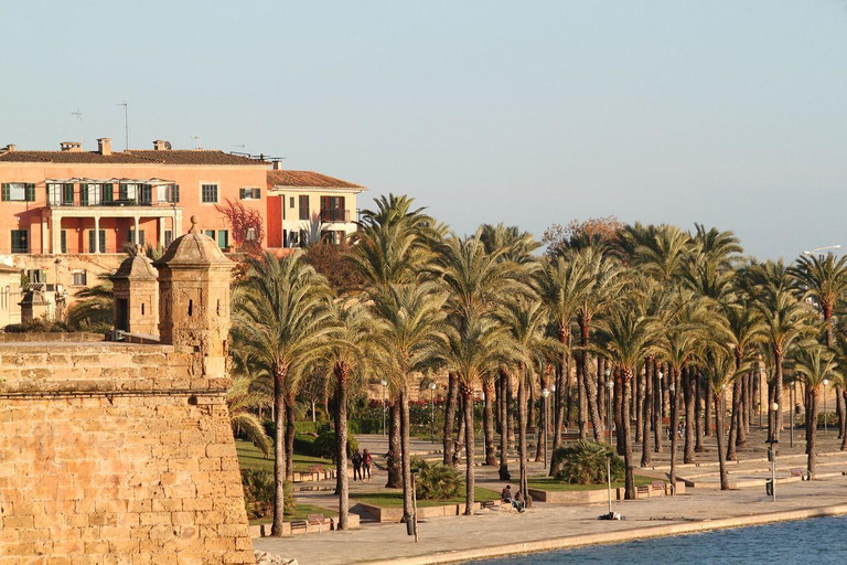 Palma de Mallorca Private Guided Walking Tour