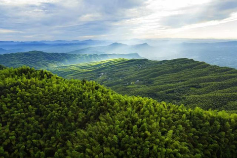 Sichuan: Shunan Bamboo Sea Entry Ticket Admission Ticket