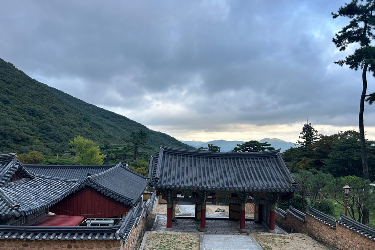Busan: Beomeosa Temple Tour with Meal and Hike Option