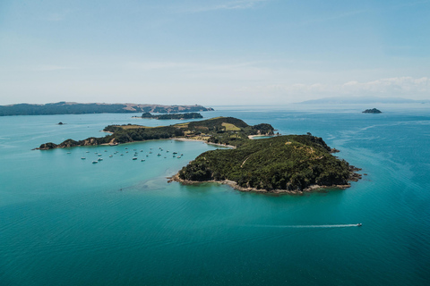 Auckland: Ferry de ida y vuelta a la isla de Rotoroa9:30m Salida fines de semana