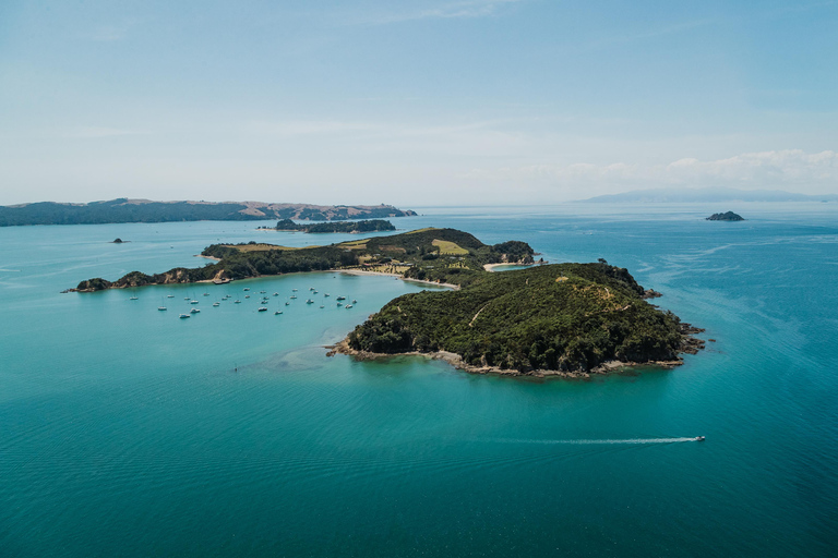 Auckland: Rotoroa Island Returfärja9:30m Avgång Helger