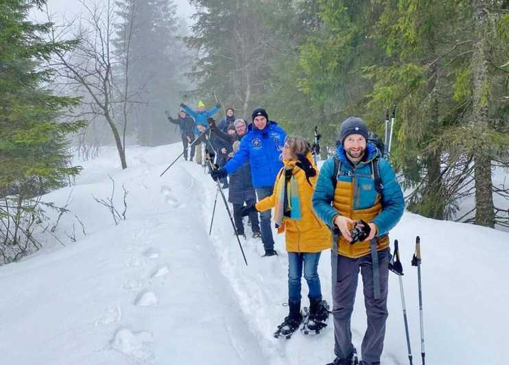 From Oslo: Oslomarka Forest Guided Snowshoeing Tour