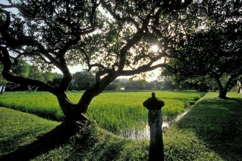 Z Kolombo/ Negombo: Lunuganga i krótka odyseja ogrodowaZ Negombo: Lunuganga i krótka wycieczka po ogrodzie