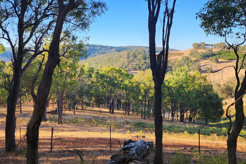 Perth: Caminhada de resistência extrema no Parque Nacional Serpentine