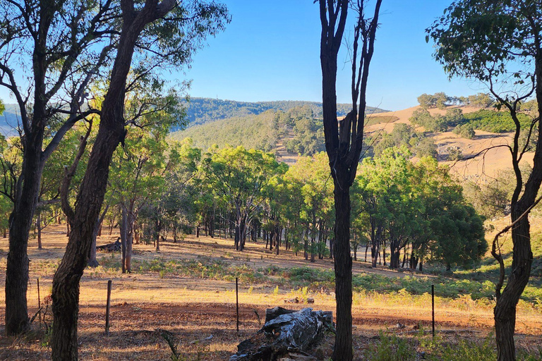 Perth: Caminhada de resistência extrema no Parque Nacional Serpentine