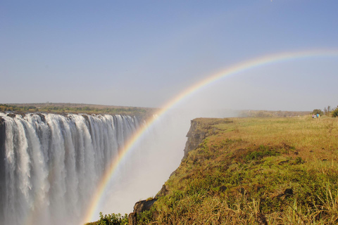 Experience Victoria Falls with an Expert Guide