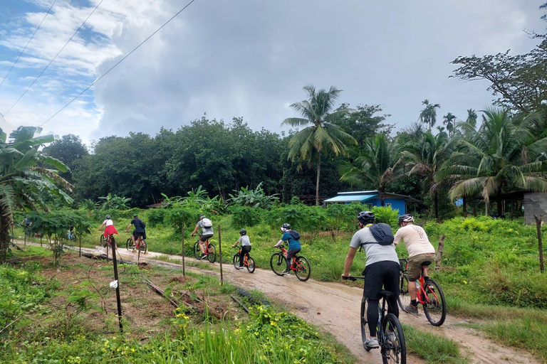 Khao Lak : excursion à vélo d'une demi-journée vers les cascades et les lacs, avec déjeunerKhao Lak : excursion à vélo d'une demi-journée vers les cascades et les lacs, avec
