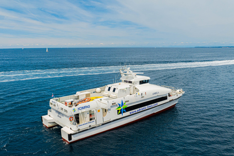 Depuis Dubrovnik : Ferry rapide pour Budva, MonténégroDe Dubrovnik à Budva : Billet aller simple