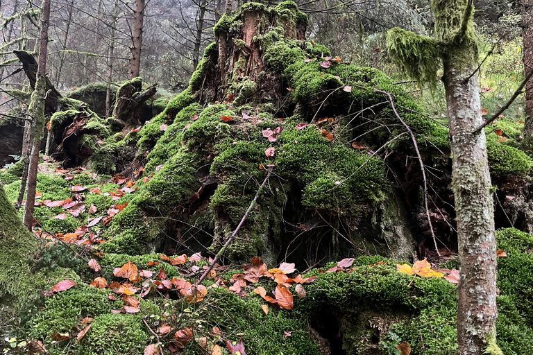 Dresden: Bohemian & Saxon Switzerland Private Full-Day Tour