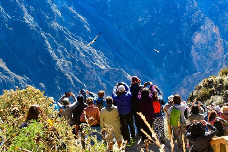 Colca Canyon Tagestour mit Transfer nach Puno
