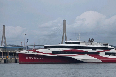 PanStar Busan Coastline Cruise & Sunset & Fireworks