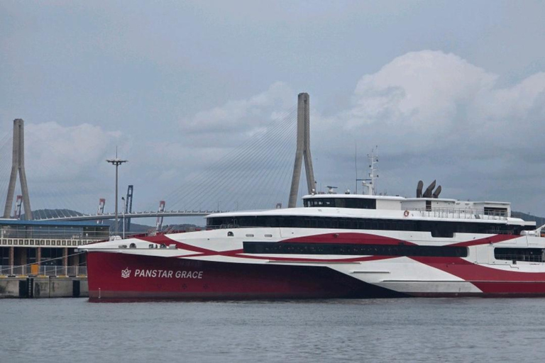 PanStar Busan Coastline Cruise & Sunset & Fireworks