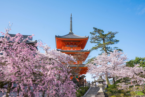 Osaka: Kyoto & Uji Day Tour, Kinkakuji&Kiyomizudera&Byodo-in Kyoto & Uji Day Tour | 8:00 AM from Osaka