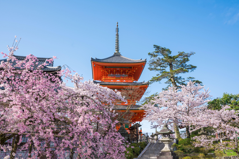 Osaka: Kyoto & Uji Day Tour, Kinkakuji&Kiyomizudera&Byodo-in Kyoto & Uji Day Tour | 8:00 AM from Osaka
