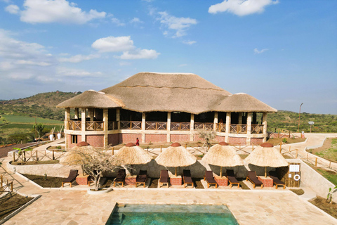 Vanuit Arusha: De 4-daagse safari-expeditie naar Tarangire &amp; Ndutu