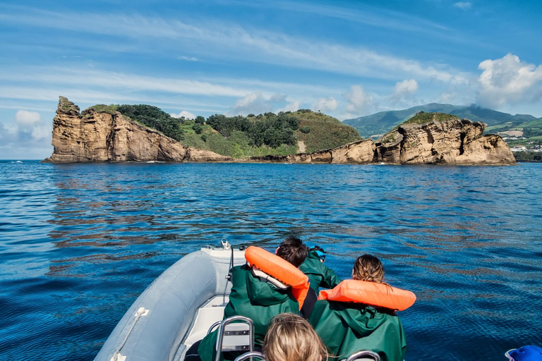 Whale and Dolphin Watching with Vila Franca Islet Visit