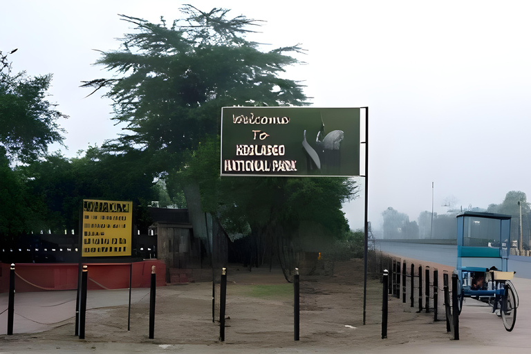 Tour privato da Agra a Bharatpur con Fatehpur Sikri nello stesso giorno