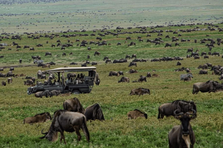 Tanzania: 8-Day Safari Tour with Accommodation