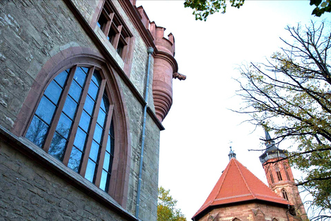 Göttingen: Express Walk with a Local in 60 minutes 90 min - Walking Tour