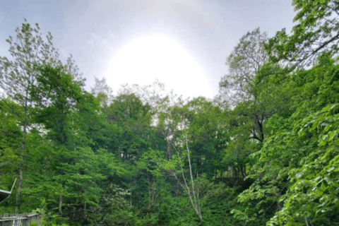 Sapporo: Hokkaido Jozankei Hoheikyo Toya Autumn Leaves Trip Premium Pick‑up Small‑Group Tour