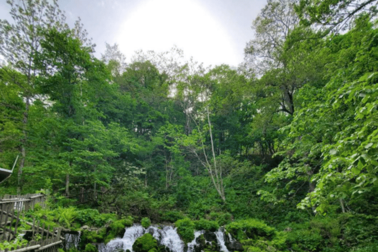 Sapporo: Hokkaido Jozankei Hoheikyo Toya Autumn Leaves Trip Premium Pick‑up Small‑Group Tour