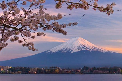 Mt.Fuji Private Tour; English Guide Fully Customizable