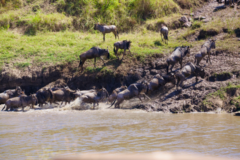 Tanzania: 5-Day Tarangire, Serengeti, & Ngorongoro Tour