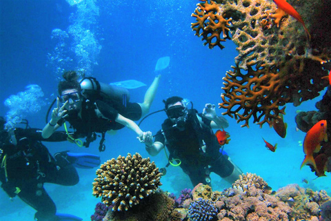 Marmaris/Icmeler: Scuba Diving Experience w/Lunch & Transfer