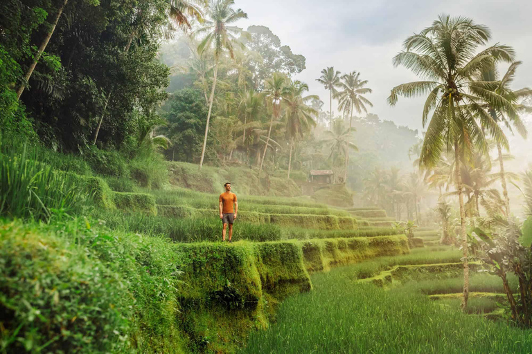 Ubud : Waterfall, Monkey Forest, Rice Terrace and Temple Private Tour With Entry Tickets