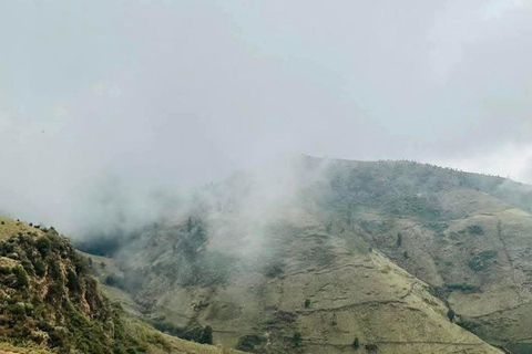 Tagestour im Suba-Park – Alte Wälder, Wildtiere &amp; NaturwanderungenTagestour im Suba Park – Alte Waldtiere &amp; Naturwanderungen