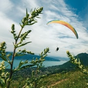 Annecy: Entdeckungsflug mit dem Gleitschirm über dem See