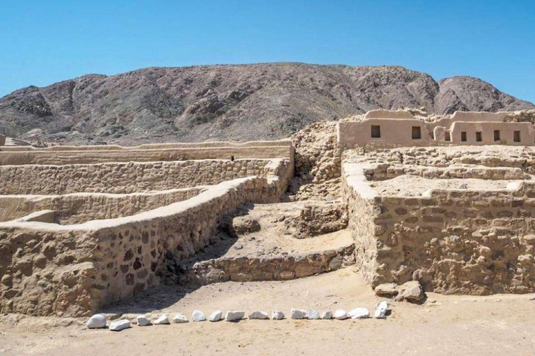 Da Ica: Tour archeologico di un giorno intero a Nazca