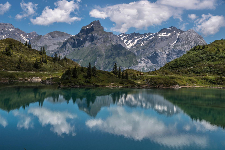 Privéreis: Zürich naar Mt. Titlis - rotary, ijsgrot, klif