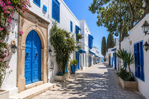 From Hammamet & Sousse: Medina, Carthage & Sidi Bou Said