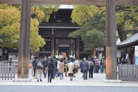 Tokio: Prywatna wycieczka po mieście Tokio w luksusowym transporcieTokio: Wycieczka prywatna po mieście Tokio w luksusowym transporcie