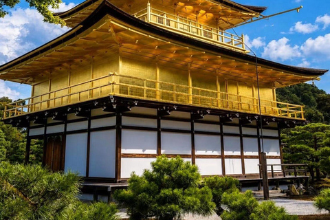 Nikko: Kegon Falls, Chuzenji, Shinkyo Bridge, Toshogu Temple In Luxury Velfire Nikko Private Customized Tour