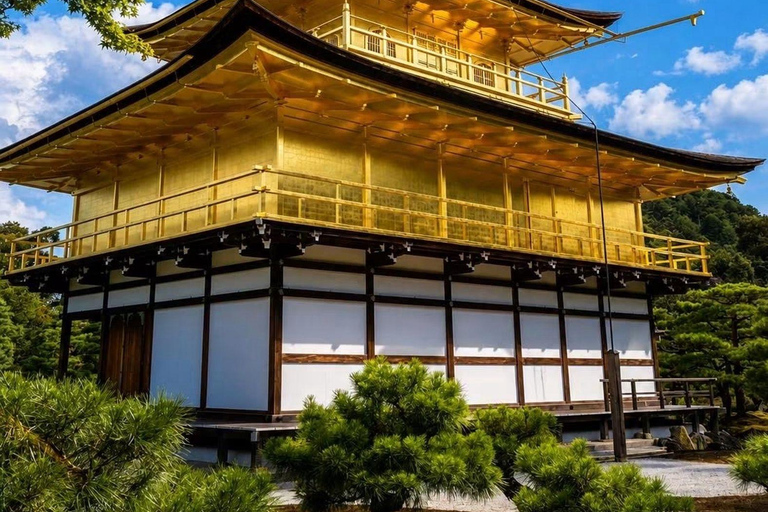 Nikko: Kegon Falls, Chuzenji, Shinkyo Bridge, Toshogu Temple In Luxury Velfire Nikko Private Customized Tour