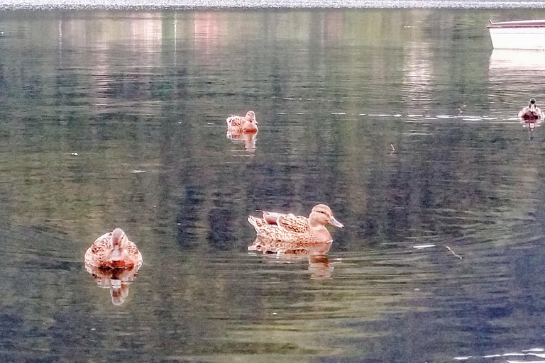 Sarajevo: Travnik and Jajce Tour with Fortress Entry