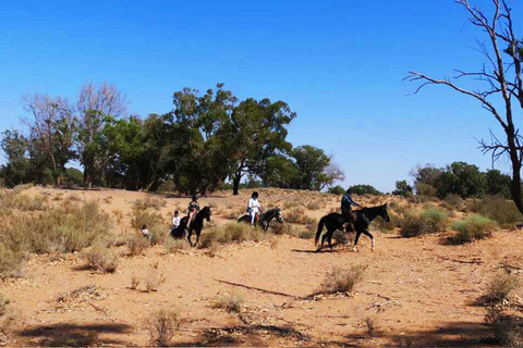 Agadir: Private Coco Polizzi Medina & Horse Ride