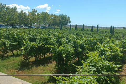 Thessaloniki:Where Fine Wines Meet Breathtaking Horizons