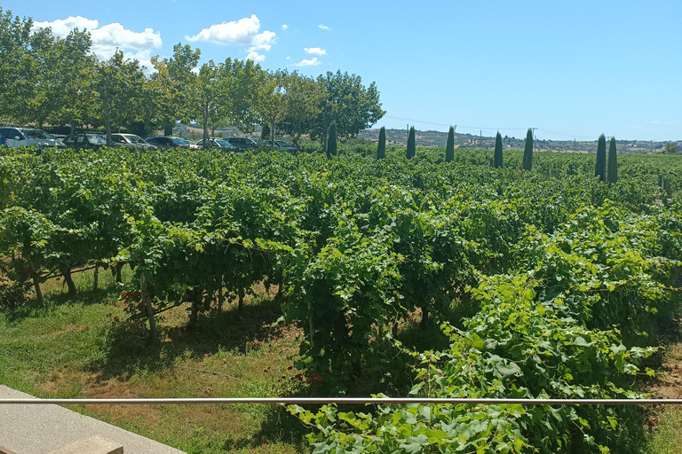 Thessaloniki:Where Fine Wines Meet Breathtaking Horizons