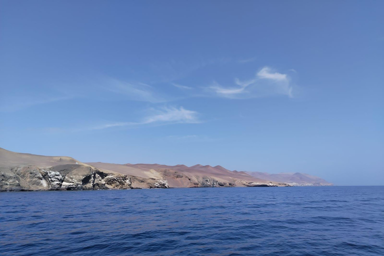 Ballestas Islands from Pisco - CRUISESHIP TERMINAL