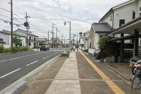 Yamato-Koriyama: Ganztägiges privates Goldfisch-Erlebnis